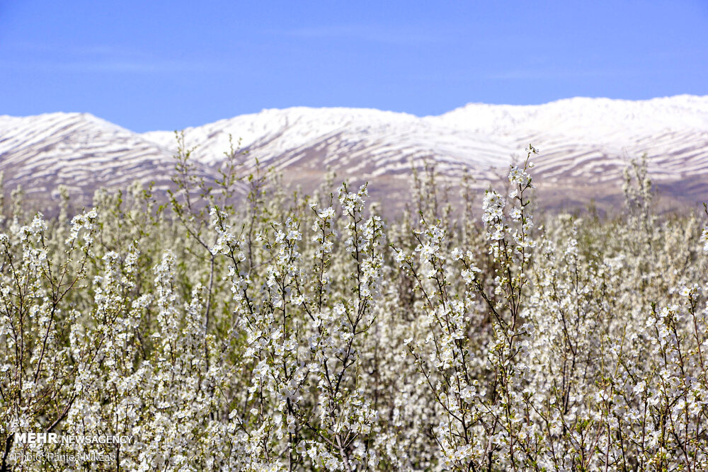 استان چهارمحال و بختیاری