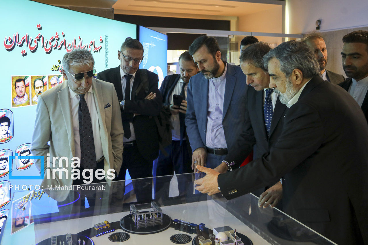 دیدار مدیر کل آژانس با رئیس سازمان انرژی اتمی