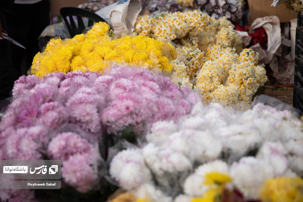 حال و هوای بازار گل درآستانه روز مادر