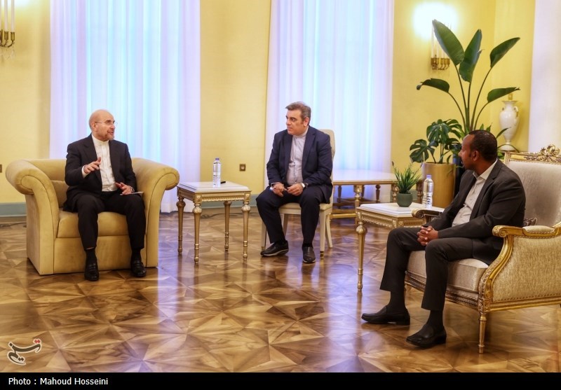 سفر رئیس مجلس به اتیوپی