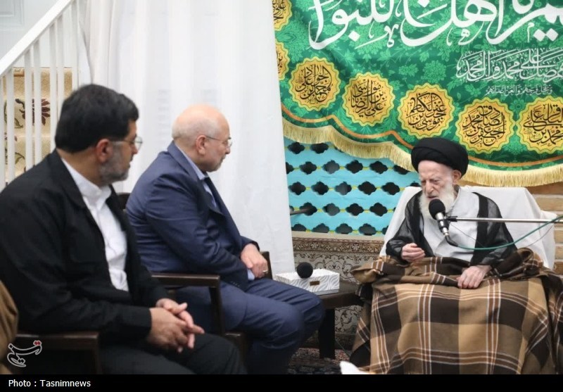 دیدار رئیس مجلس با آیت‌الله شبیری زنجانی