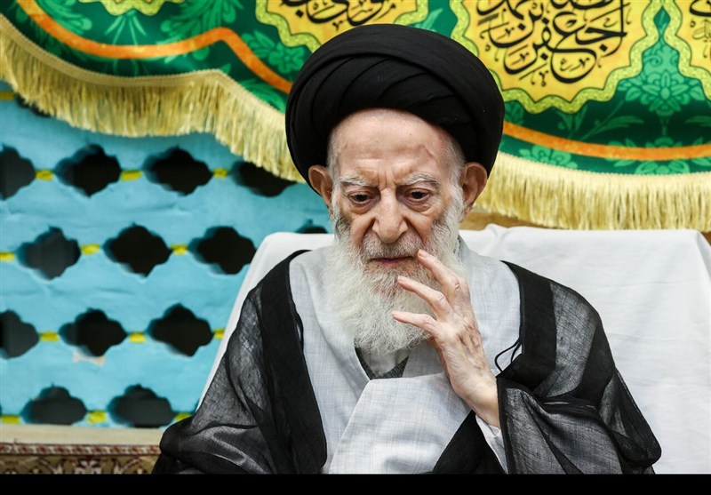 دیدار رئیس مجلس با آیت‌الله شبیری زنجانی