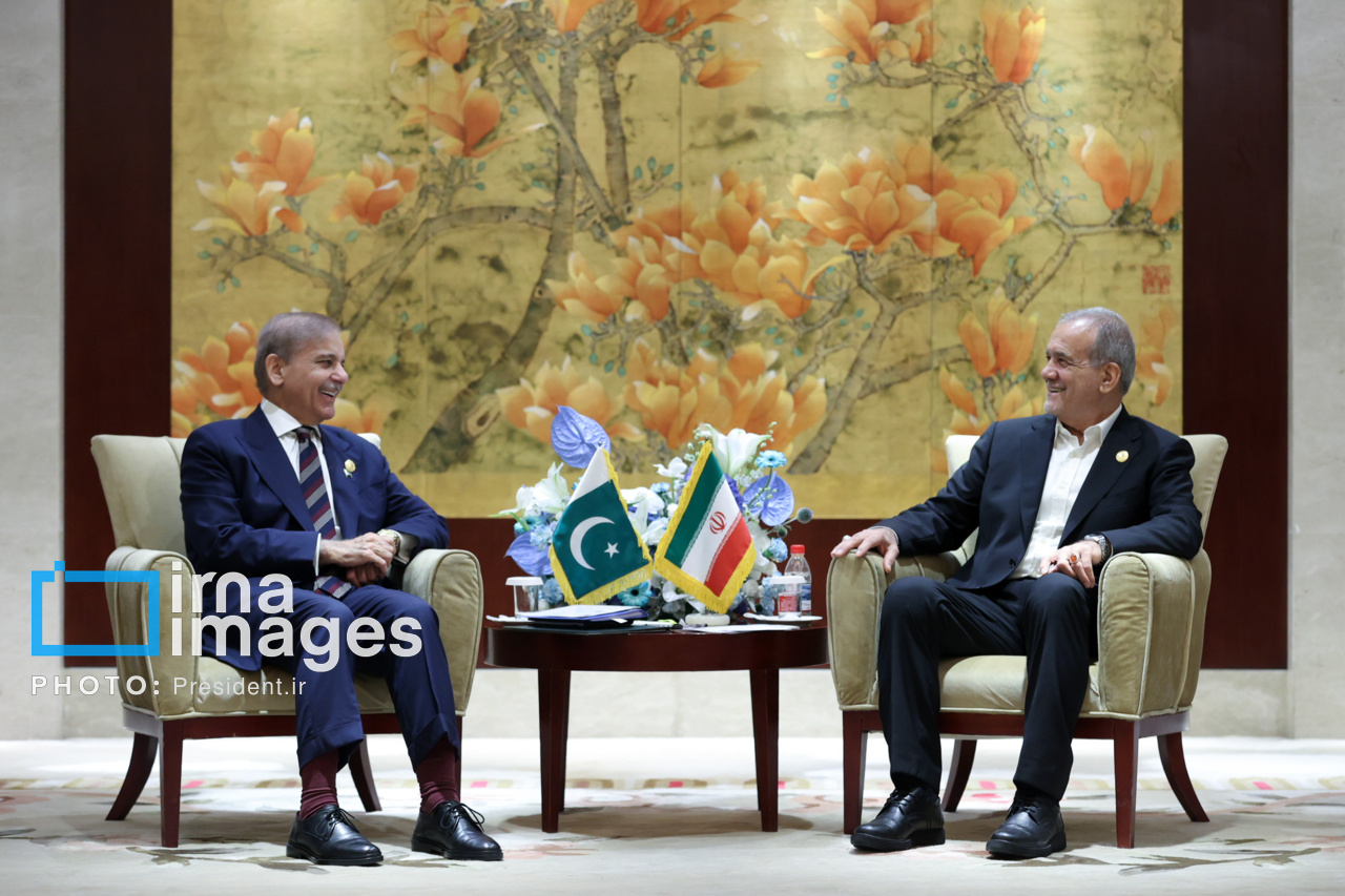 دیدار نخست وزیر پاکستان با رئیس جمهور