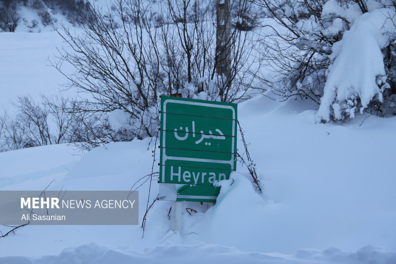 بارش برف در گردنه حیران