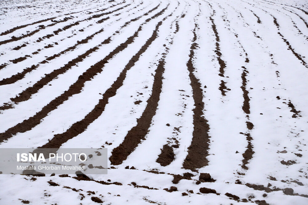 بارش برف بهاری - اهر