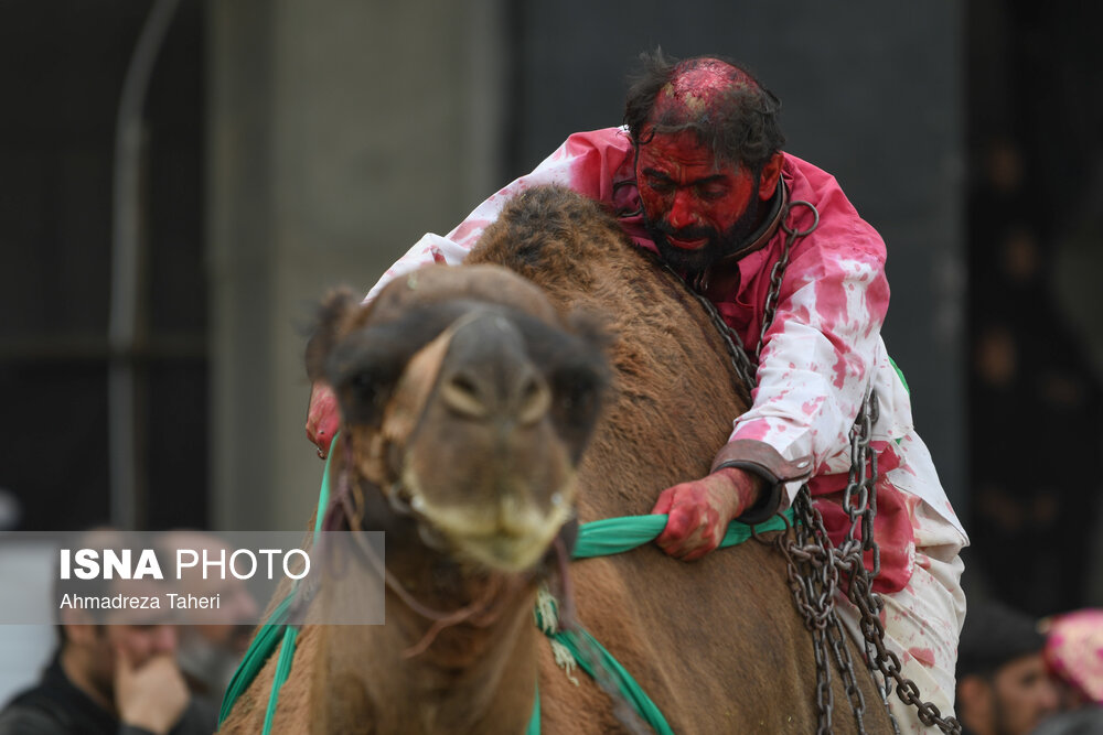 مقتل خوانی روز اربعین