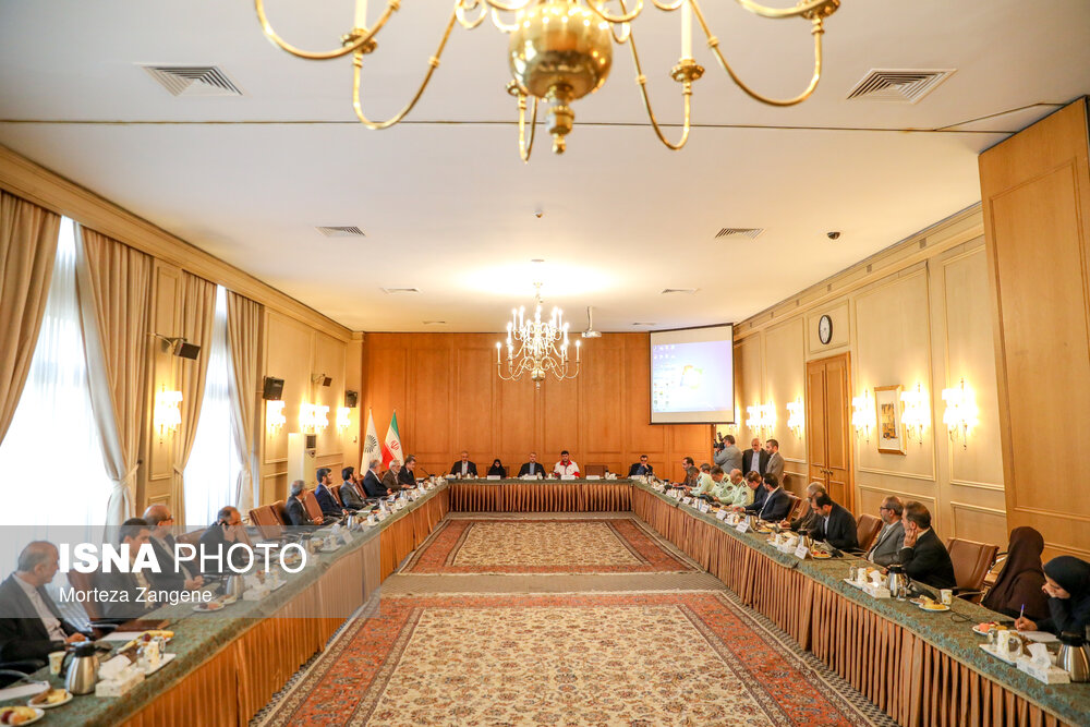 نشست کارگروه کنسولی شورای عالی ایرانیان خارج از کشور با حضور امیرعبداللهیان