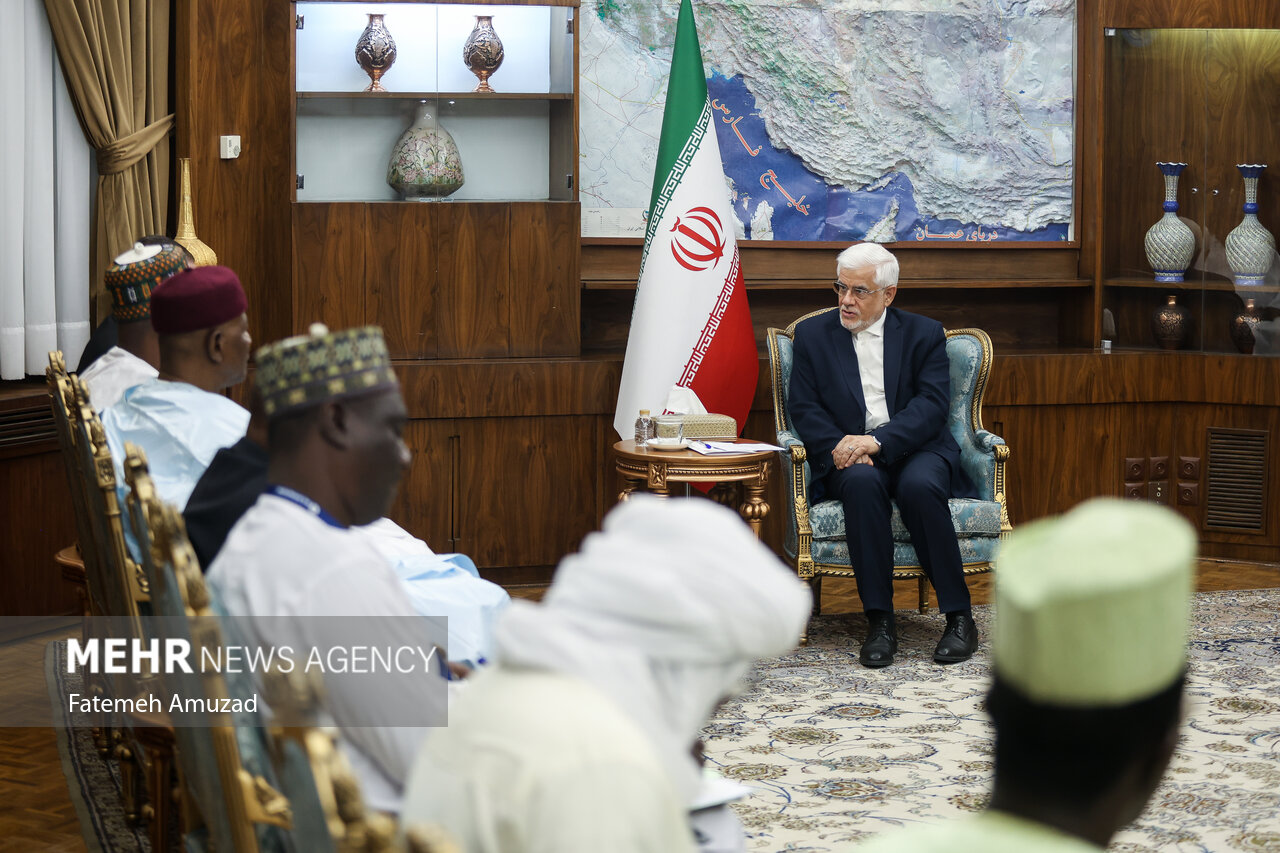 دیدار معاون اول رییس جمهور با وزیر نفت نیجر