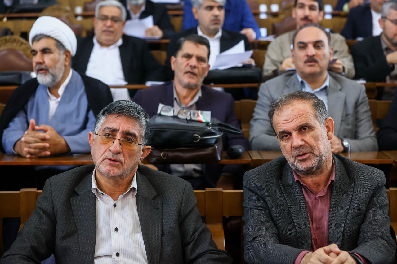 رئیس مجلس در همایش ناظران شورا‌ها