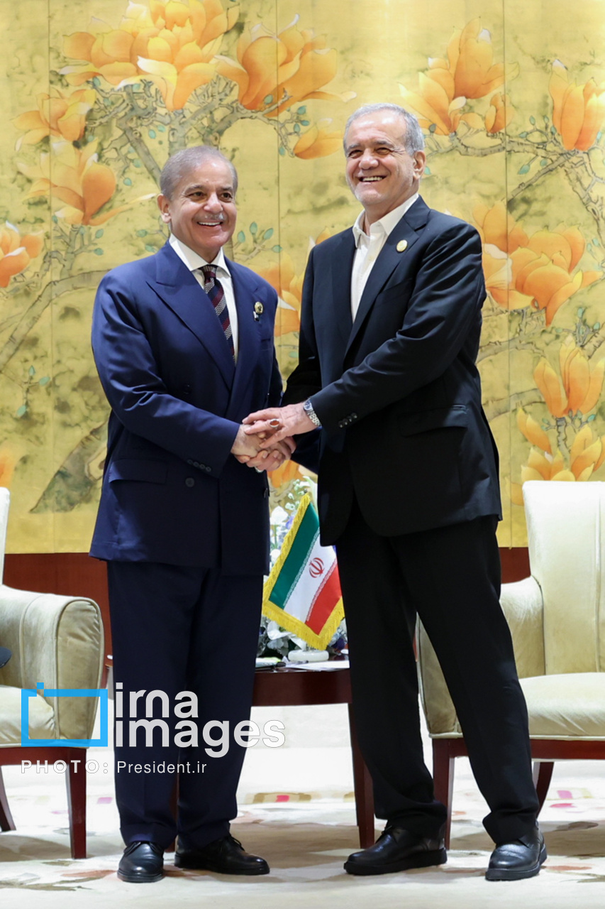 دیدار نخست وزیر پاکستان با رئیس جمهور