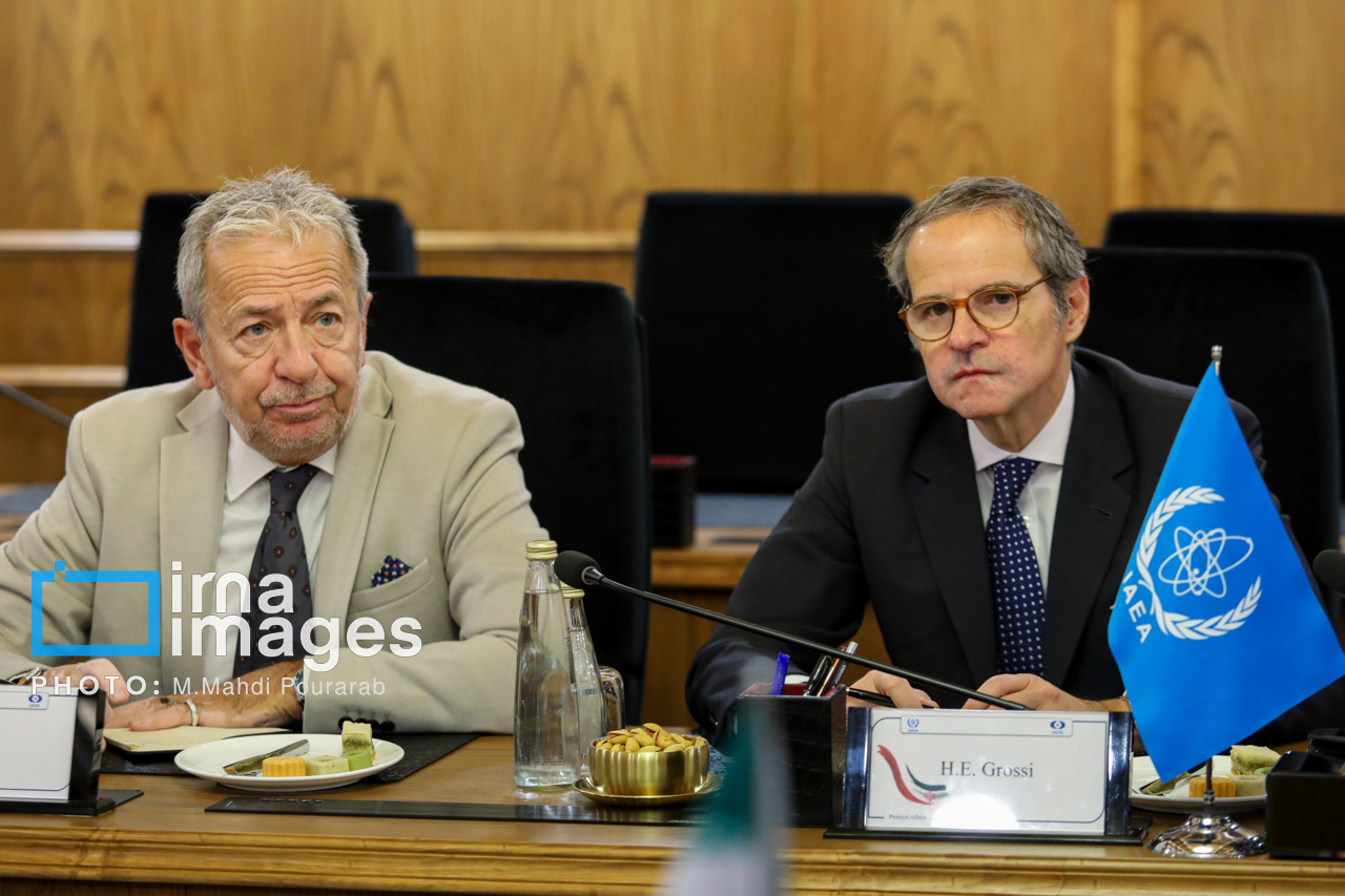 دیدار مدیر کل آژانس با رئیس سازمان انرژی اتمی
