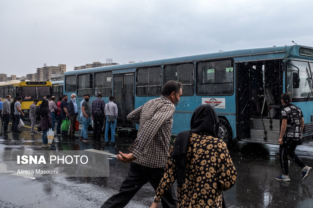 بارش باران در تهران