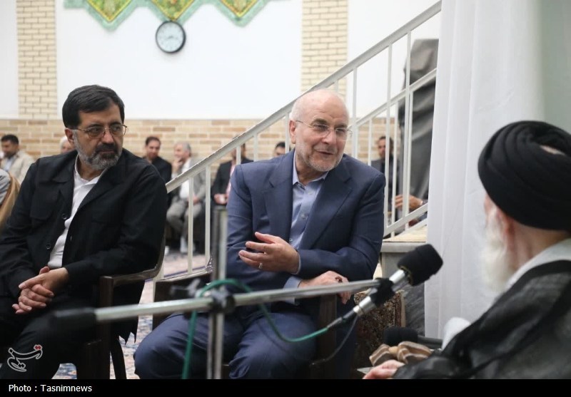 دیدار رئیس مجلس با آیت‌الله شبیری زنجانی