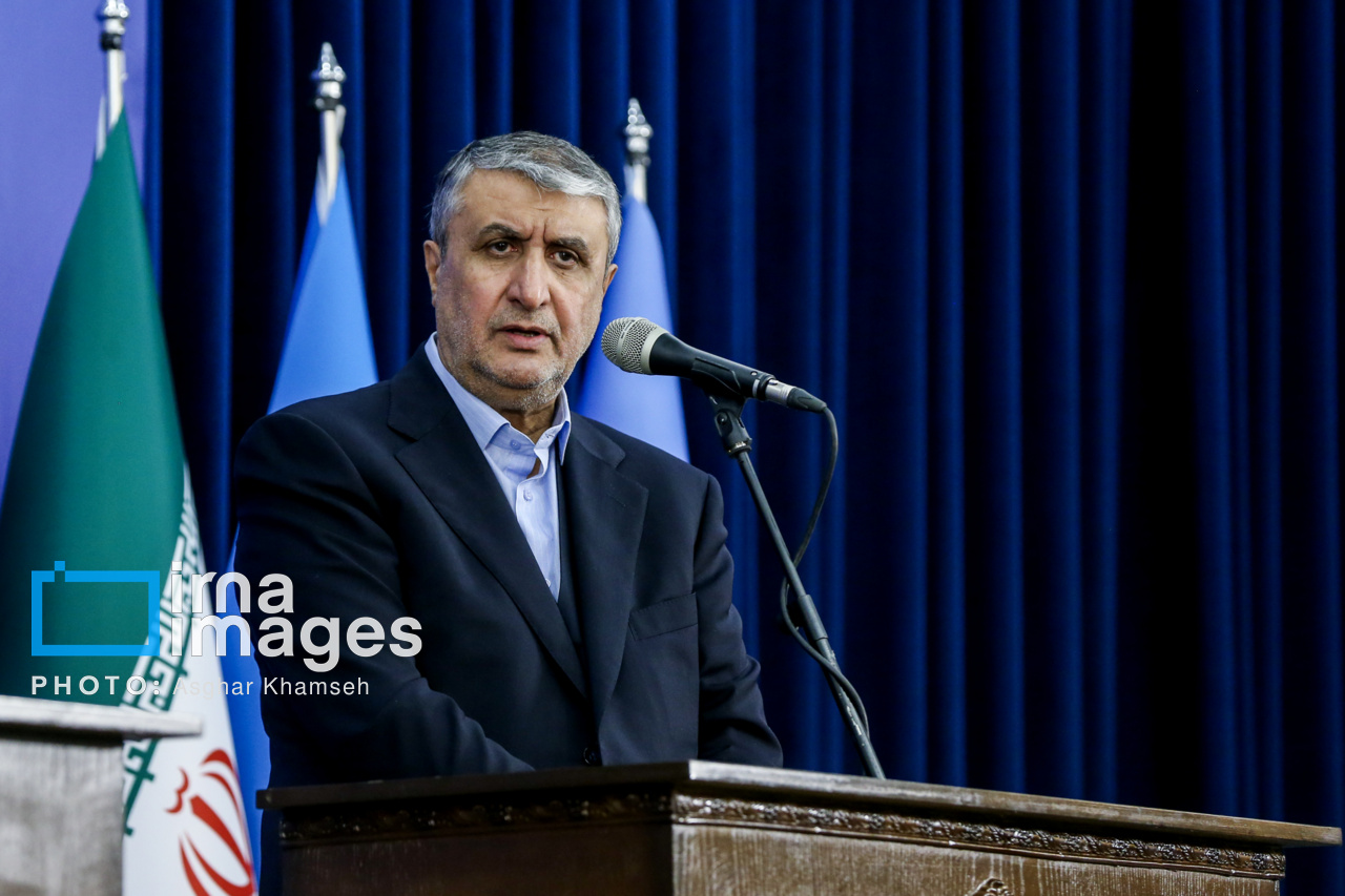 دیدار مدیرکل آژانس انرژی اتمی با رییس سازمان انرژی اتمی