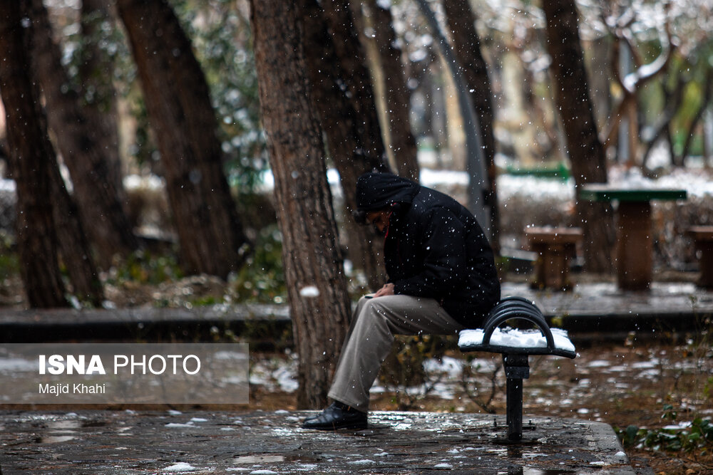 بارش برف در تهران