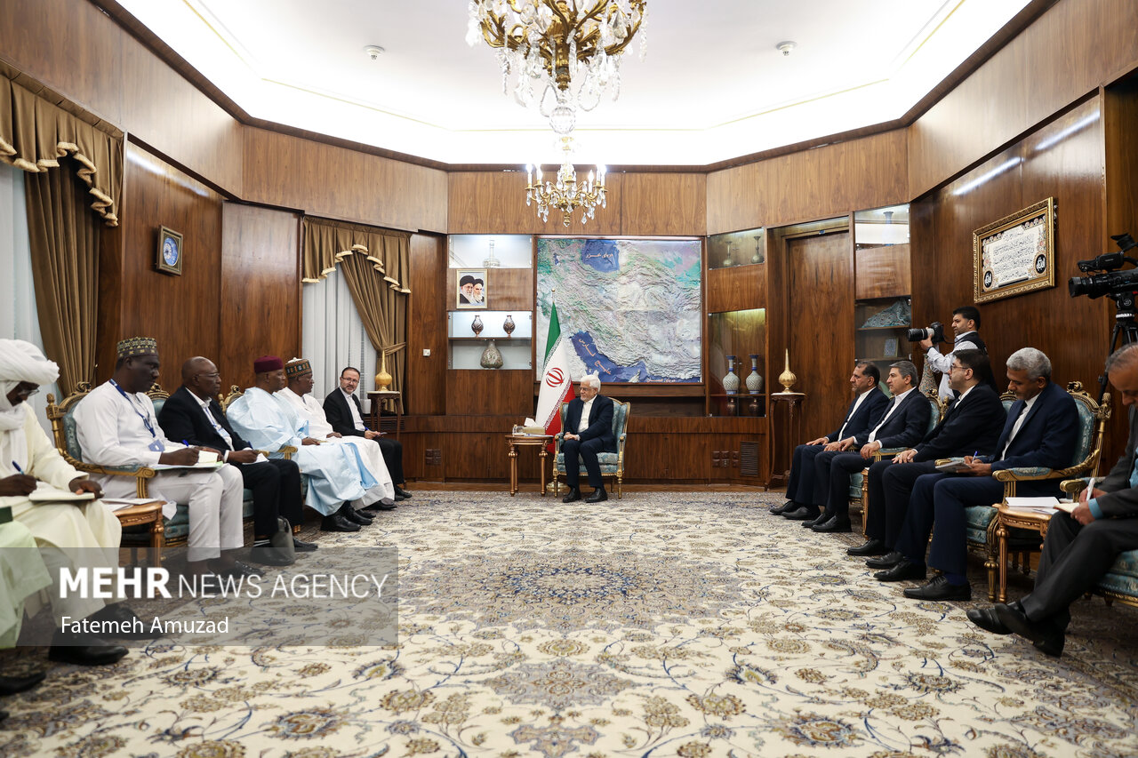 دیدار معاون اول رییس جمهور با وزیر نفت نیجر
