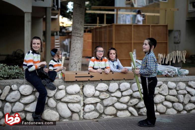 تصویری از کودکان یهودی که بیرون از غرقه های آیینی ایستاده اند تا بر روی شاخه درخت خرمایشان دعا خوانده شود. 