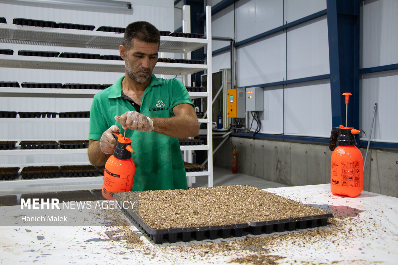 وزیر جهادکشاورزی