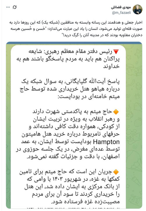 مهدی فضائلی