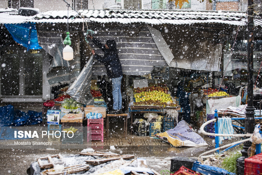 حال و هوای برفی ساری