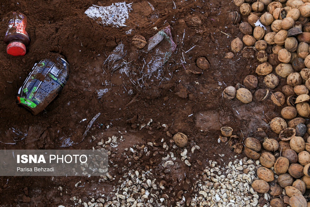 امحا کالای قاچاق در تهران