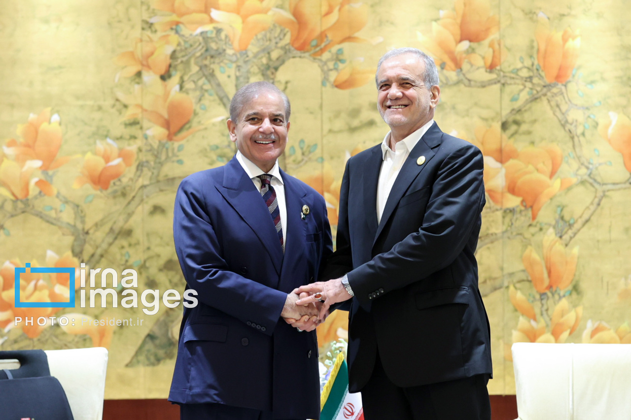 دیدار نخست وزیر پاکستان با رئیس جمهور