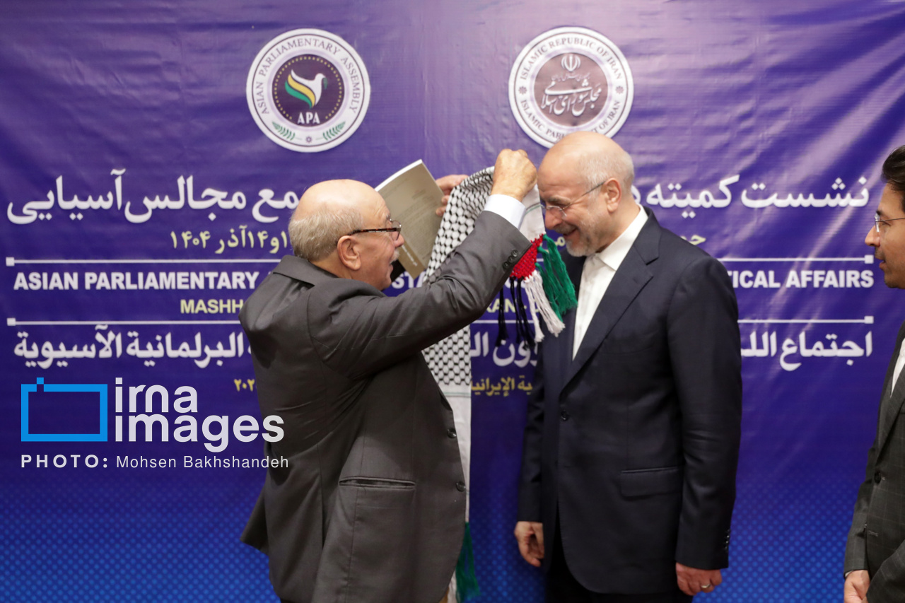 نشست کمیته دائمی امور سیاسی مجمع مجالس آسیایی در مشهد