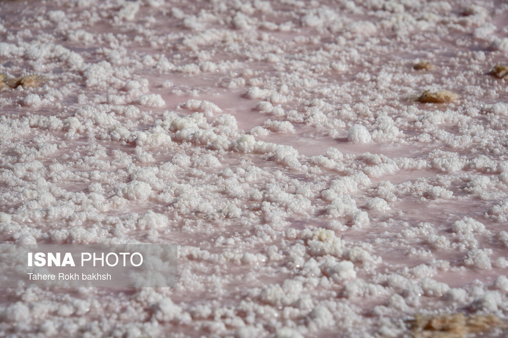 خشک شدن دریاچه مهارلو