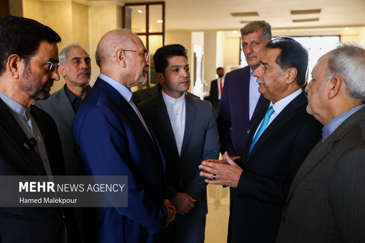 اولین روز سفر رئیس مجلس به پاکستان