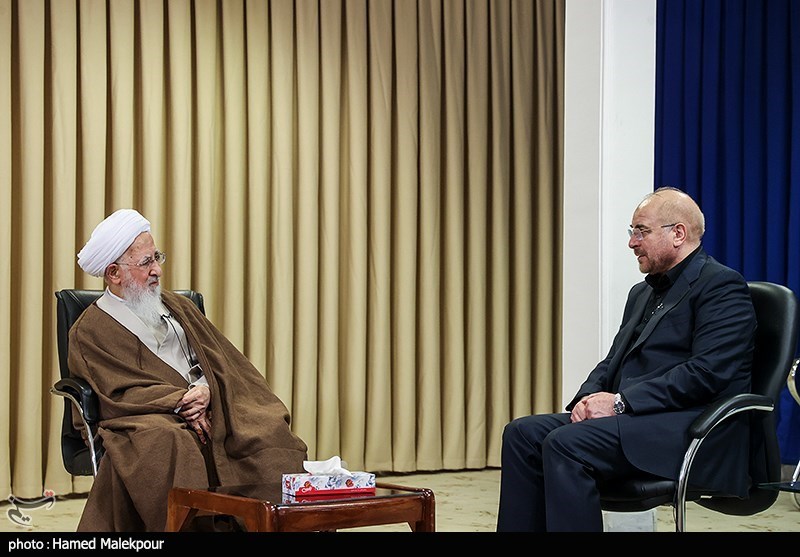 دیدار رئیس مجلس با مراجع عظام تقلید - قم