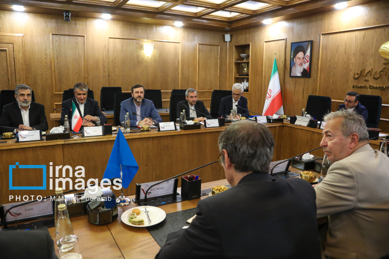 دیدار مدیر کل آژانس با رئیس سازمان انرژی اتمی