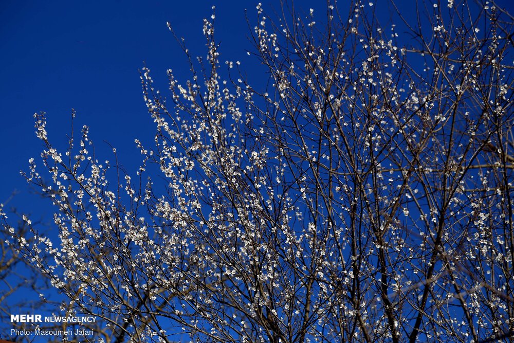 زندگی در روستای «ازآنده»