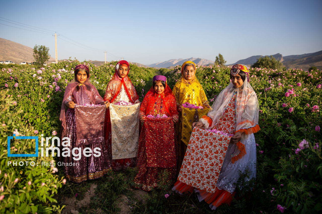 گل و گلاب میمند