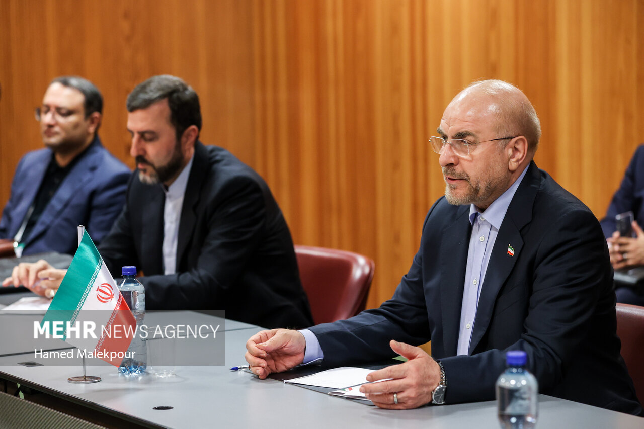 دومین روز سفر رئیس مجلس به ژنو