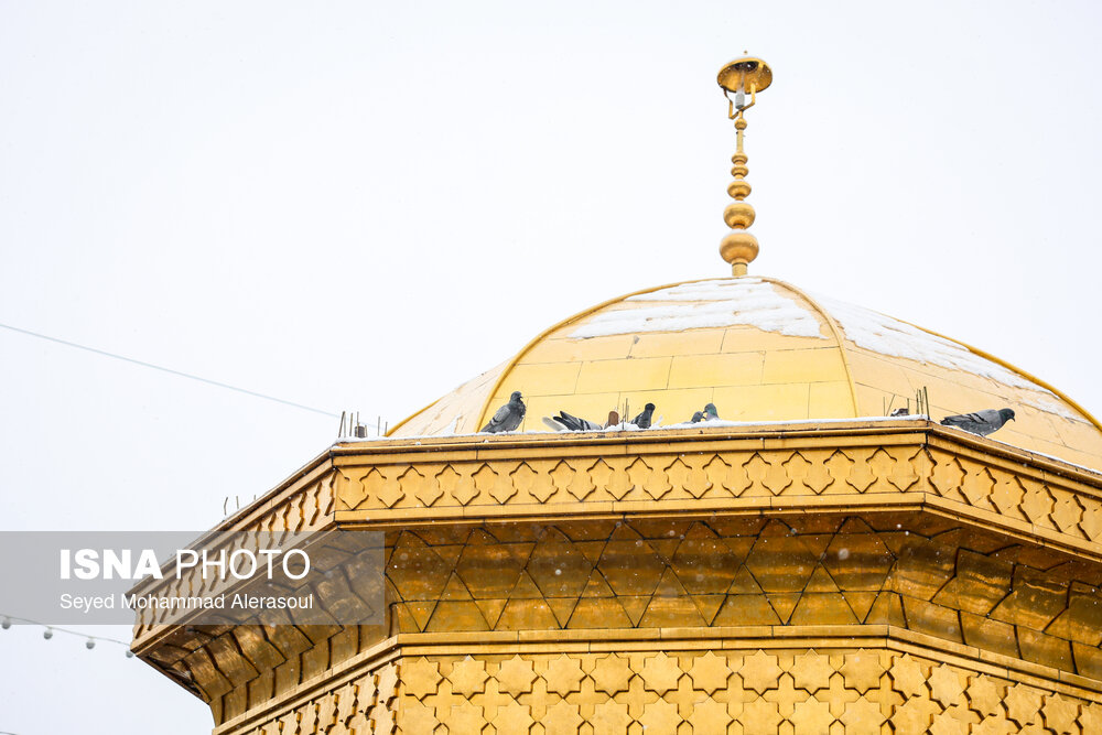 بارش برف در حرم مطهر رضوی