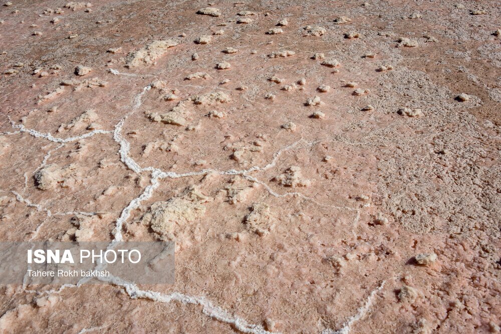 تصاویر: خشک شدن دریاچه مهارلو - شیراز