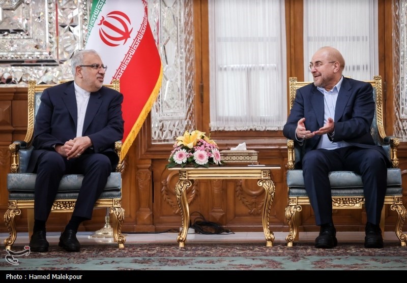 دیدارهای نوروزی رئیس مجلس شورای اسلامی