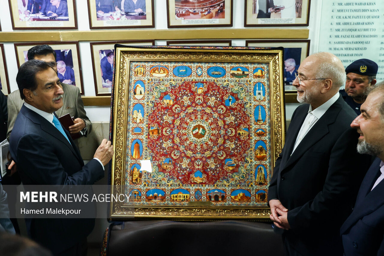 اولین روز سفر رئیس مجلس به پاکستان