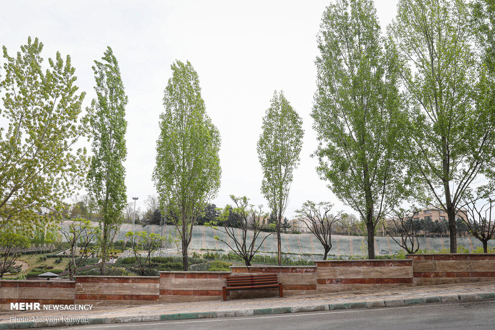 حال و هوای پارک های تهران 