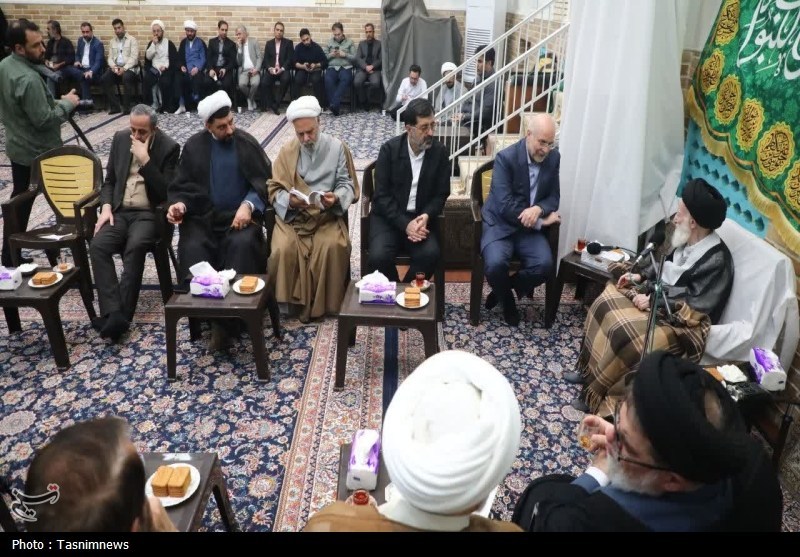 دیدار رئیس مجلس با آیت‌الله شبیری زنجانی