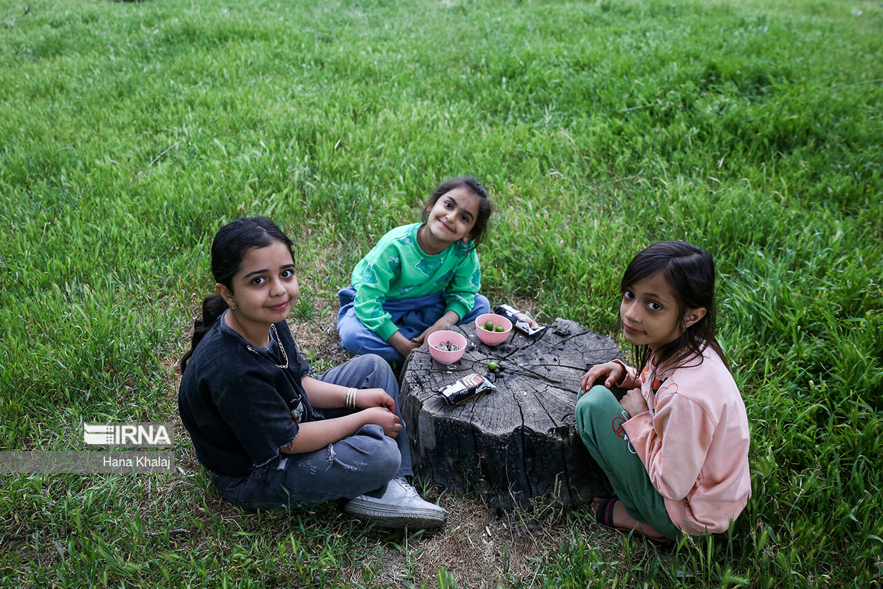 آیین سنتی « پنجاه بدر» 