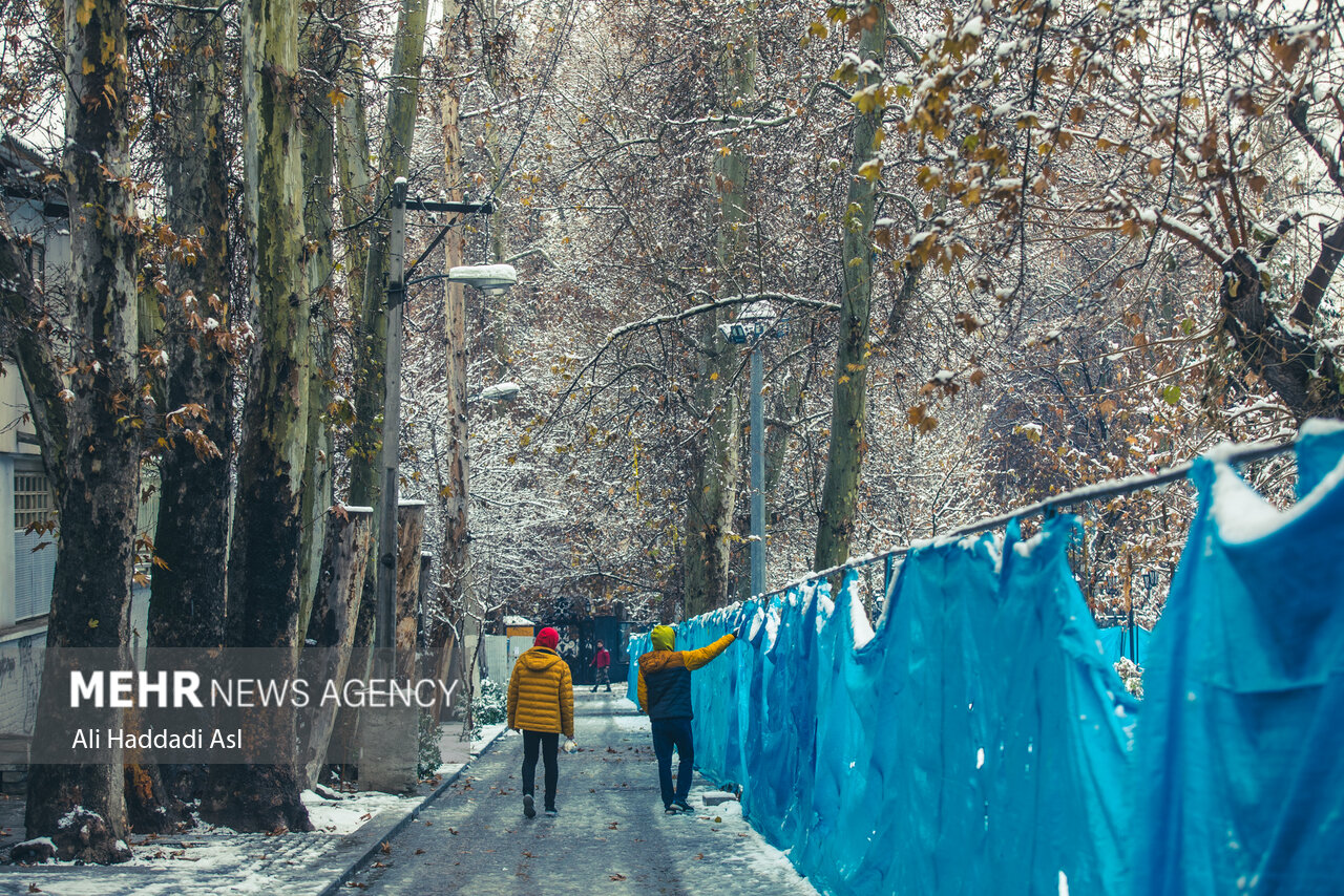 بارش اولین برف زمستانی