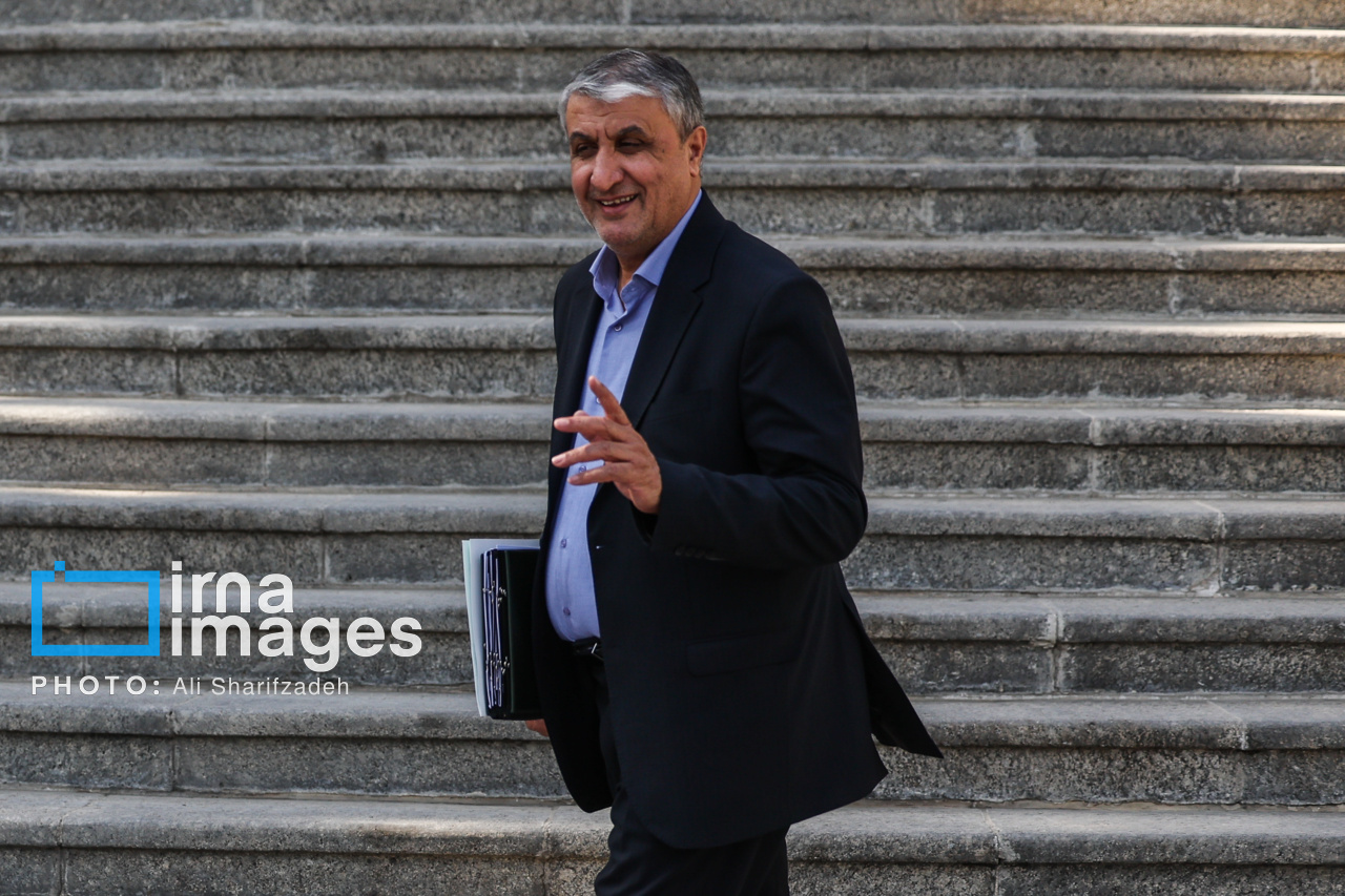 اعضای هیأت دولت