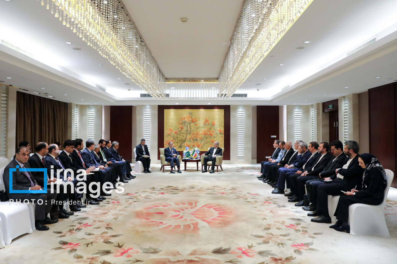 دیدار نخست وزیر پاکستان با رئیس جمهور