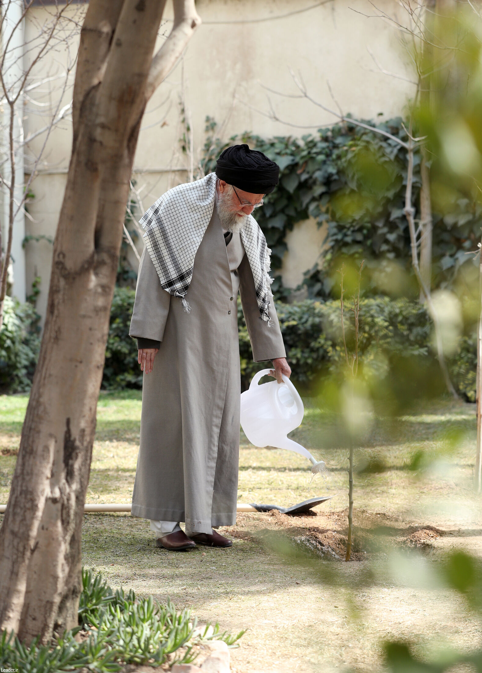 رهبر انقلاب در روز درختکاری