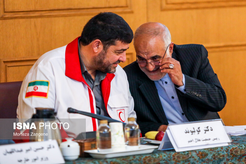 نشست کارگروه کنسولی شورای عالی ایرانیان خارج از کشور با حضور امیرعبداللهیان