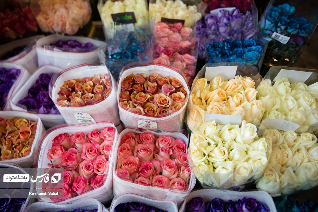 حال و هوای بازار گل درآستانه روز مادر