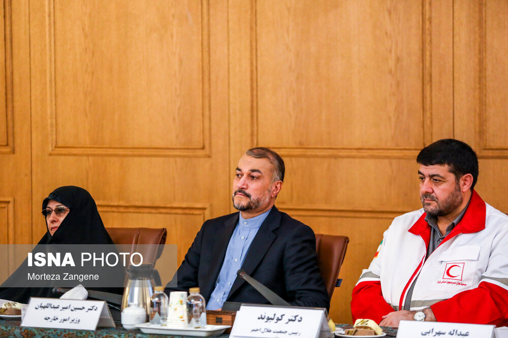 نشست کارگروه کنسولی شورای عالی ایرانیان خارج از کشور با حضور امیرعبداللهیان