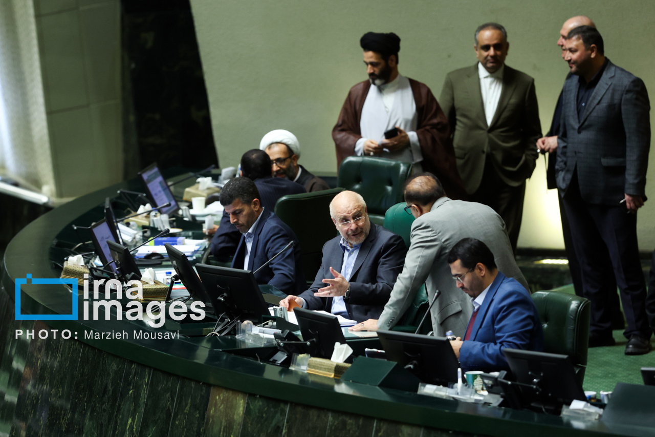 جلسه علنی مجلس شورای اسلامی - ۲۸ بهمن ۱۴۰۳