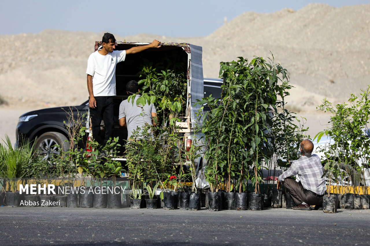 پنجشنبه بازار میناب